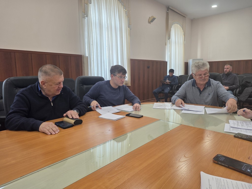 Заседания постоянных депутатских комиссий